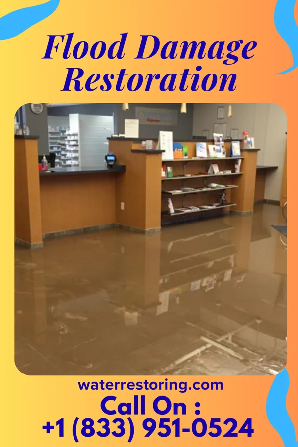 Flood Damage Restoration in Lake Camelot, IL